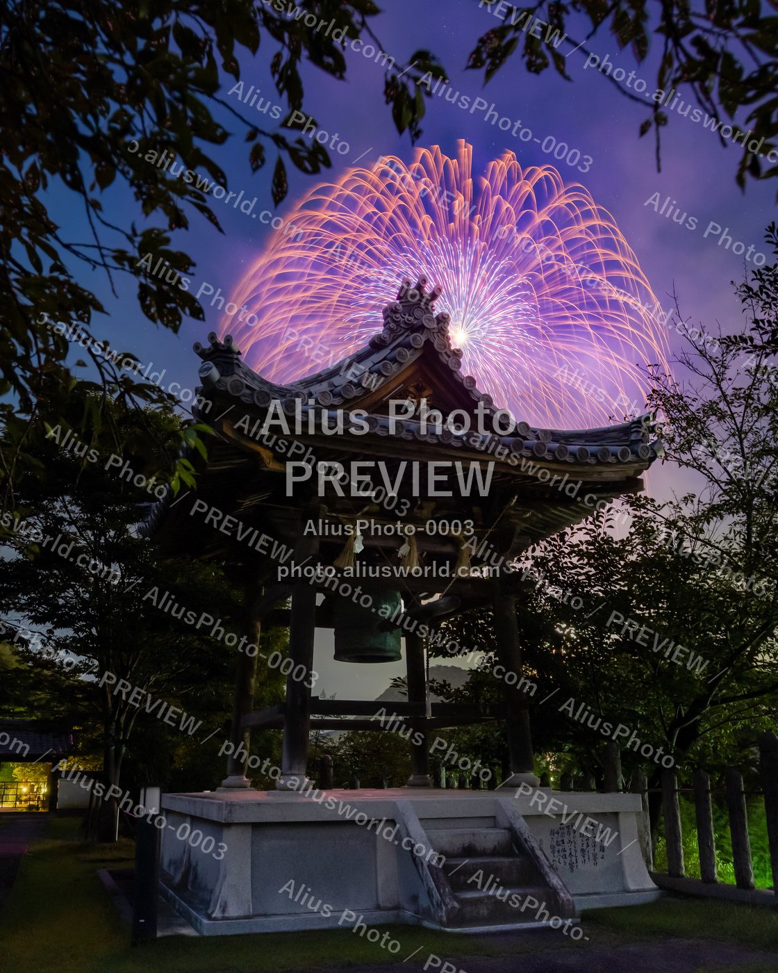 AliusPhoto-0003_delivery_no_exif プレビュー