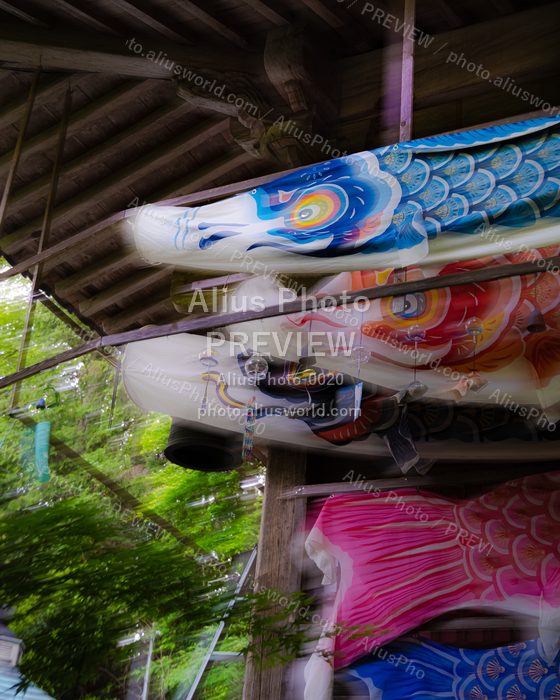 AliusPhoto-0020_delivery_no_exif プレビュー